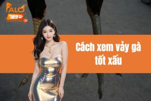 Cách xem vảy gà tốt xấu - Bí mật đằng sau chiến kê bất bại