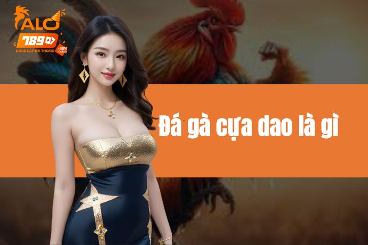 Đá gà cựa dao là gì? Tìm hiểu sơ lược về loại hình chiến đấu mới lạ